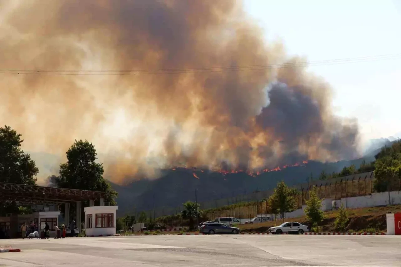 Suriye'deki orman yangını Türkiye sınırını aştı: Yayladağı'nda son durum ne?