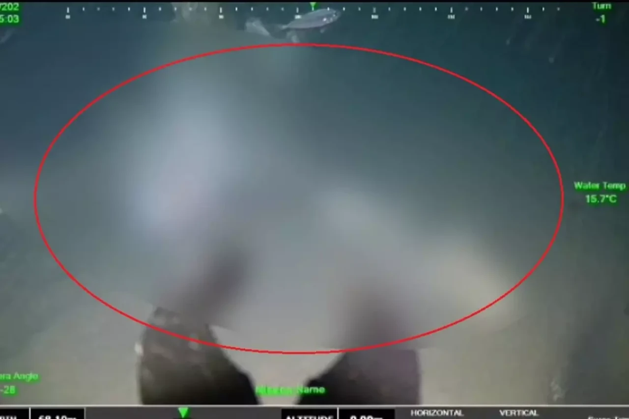 Halit Yukay'ın cansız bedeni ROV ile görüntülendi