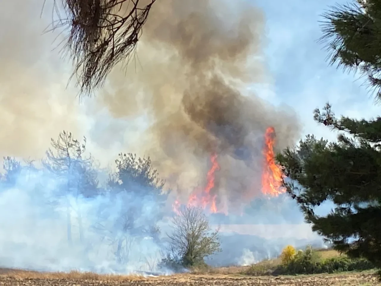 Orman yangınları yurdu tehdit ediyor: Mersin ve Hatay'da son durum ne?