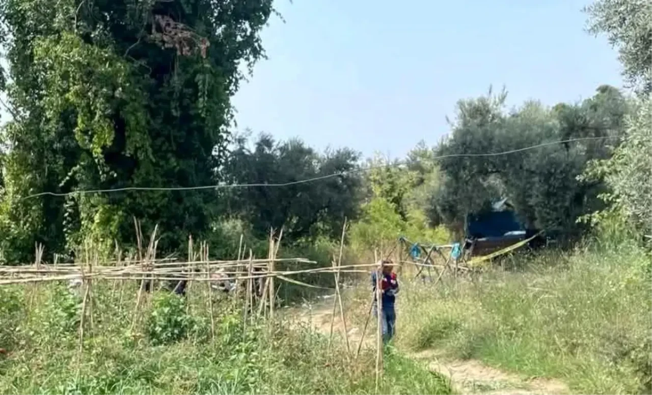 Aydın’da çiftçi tarlasında ölü bulundu: Yaban domuzu şüphesi