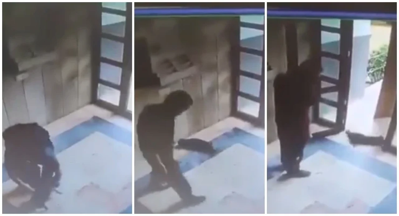 Başakşehir’de kediye işkence eden şahıs tutuklandı: “Uyuyamıyorum”