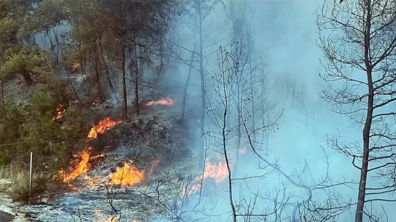 2 ilde daha orman yangını alarmı! Ekipler harekete geçti!