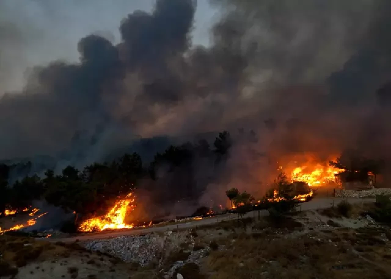 İzmir Buca'da orman yangını: Alevler hızla yayılıyor!