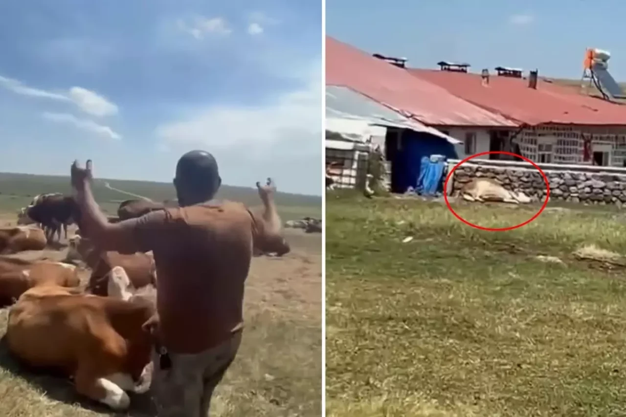 O ilde durum vahim! "Nerede bu yetkililer?" diyerek isyan etti: Allah sen yardım et