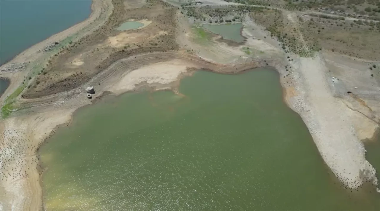 Bodrum'da su sıkıntısı: Barajların doluluk oranı tehlikeli seviyelere indi!