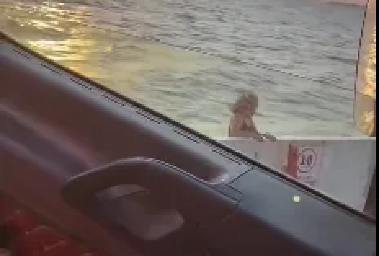 Feribotta korkunç olay! Genç kadın intihar etti