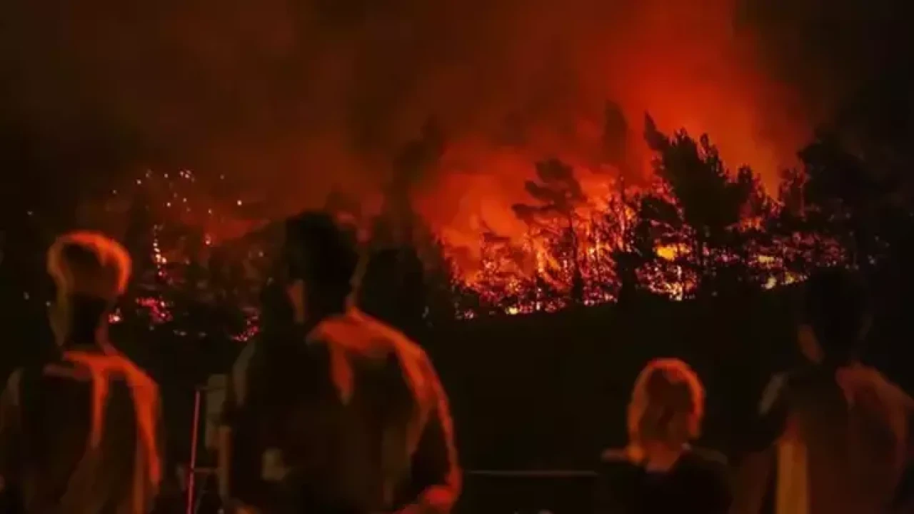 İzmir Menderes’te orman yangınına neden olan kaynakçı tutuklandı!