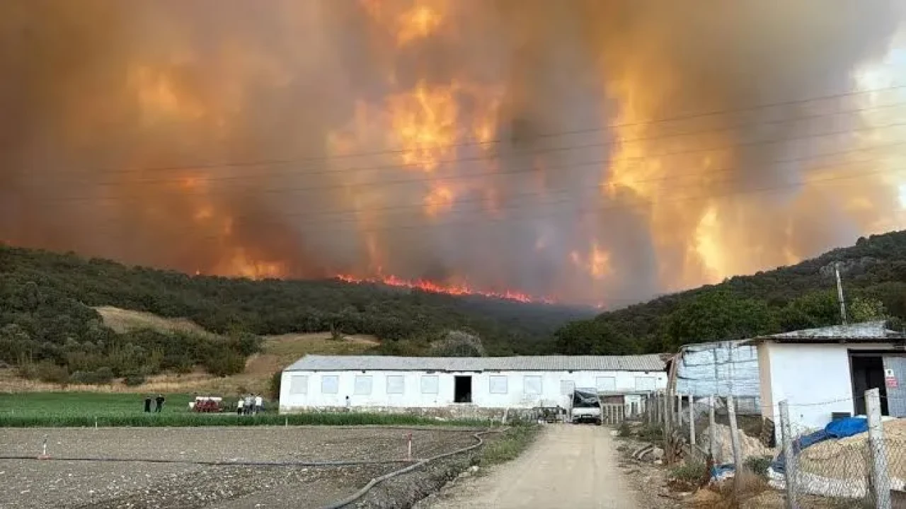 Bursa'da orman yangını evlere yaklaştı, kara yolu kapatıldı