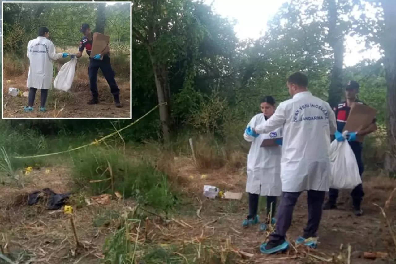 Düzce'de mısır tarlasında insan kafatası ve kemikleri bulundu