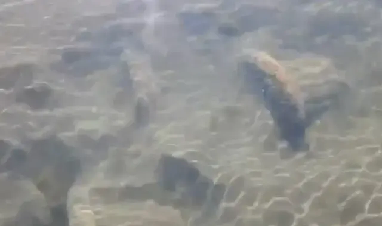 Su seviyesi azalan İznik Gölü'nde tarihi sütun başlıkları bulundu