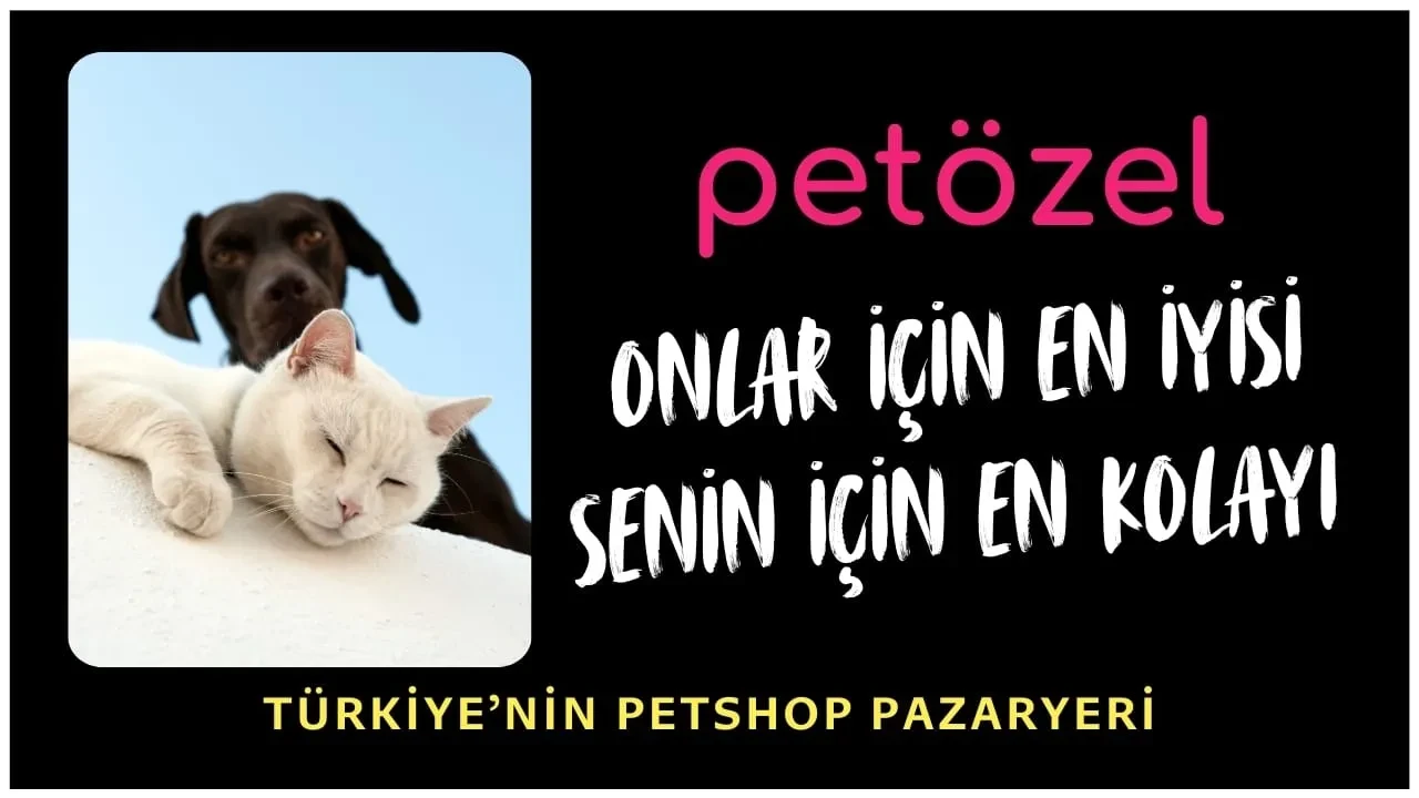 Petözel: Türkiye’nin Güvenilir ve Kapsamlı Online Petshop Sitesi