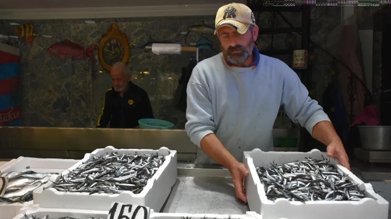 Trabzon’da balık fiyatları yeniden düştü