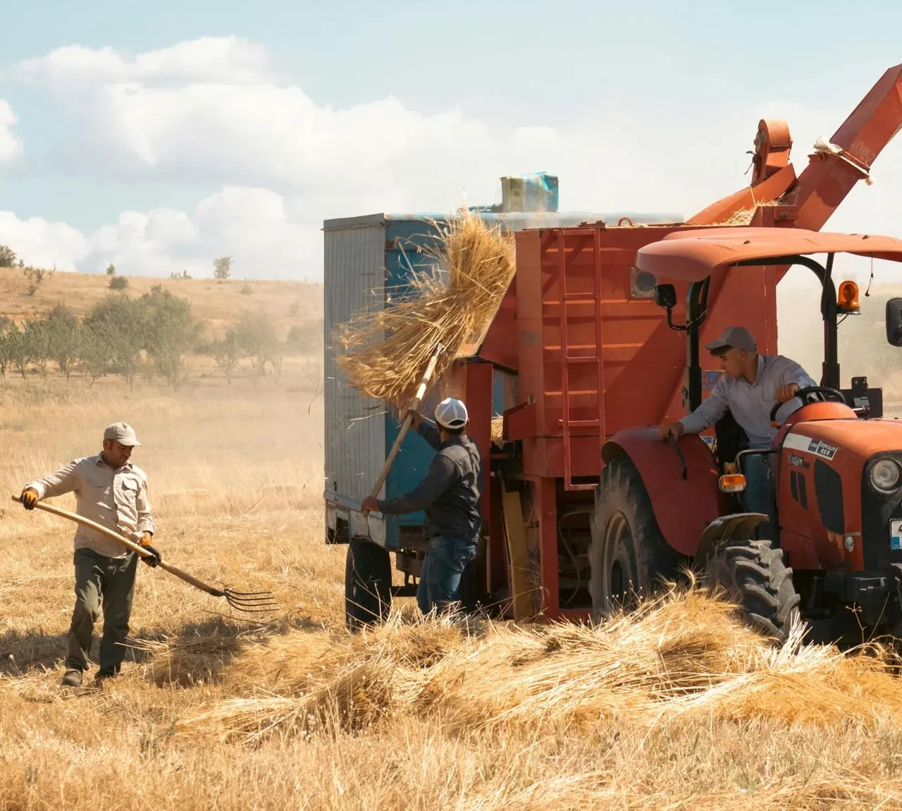 Çiftçi Kayıt Sistemi Yönetmeliği'nde yeni bir düzenlemeye gidildi