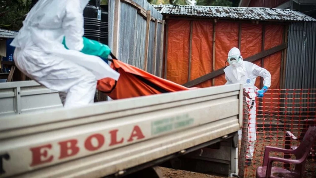 Ebola vakaları ve can kaybı artıyor