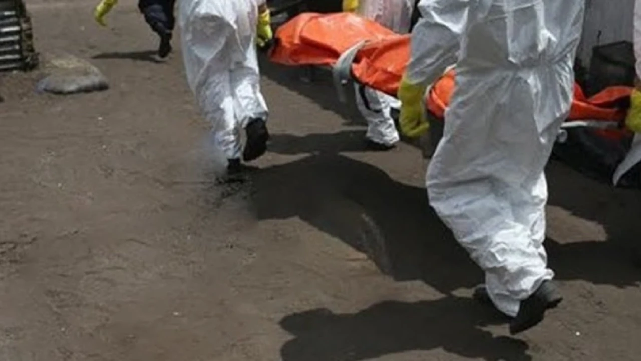 Lassa ateşi paniği yaşanıyor! Ölü sayısı yükseldi...