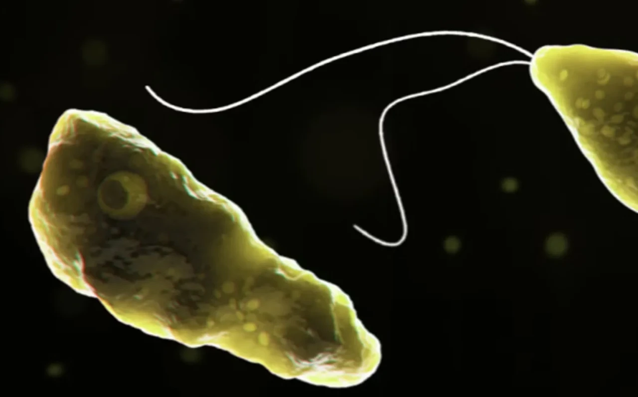 Beyin yiyen amip nedeniyle 19 kişi hayatını kaybetti