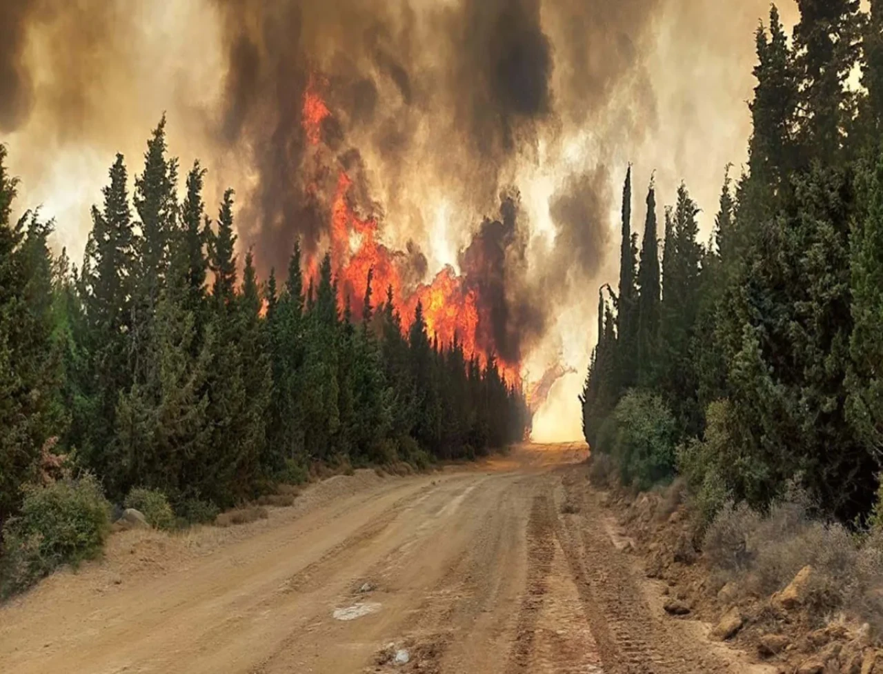 Çanakkale’de orman yangınlarına karşı yeni önlemler!