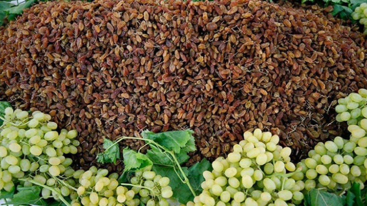 TMO’dan çekirdeksiz kuru üzüm için alım fiyatı açıklaması