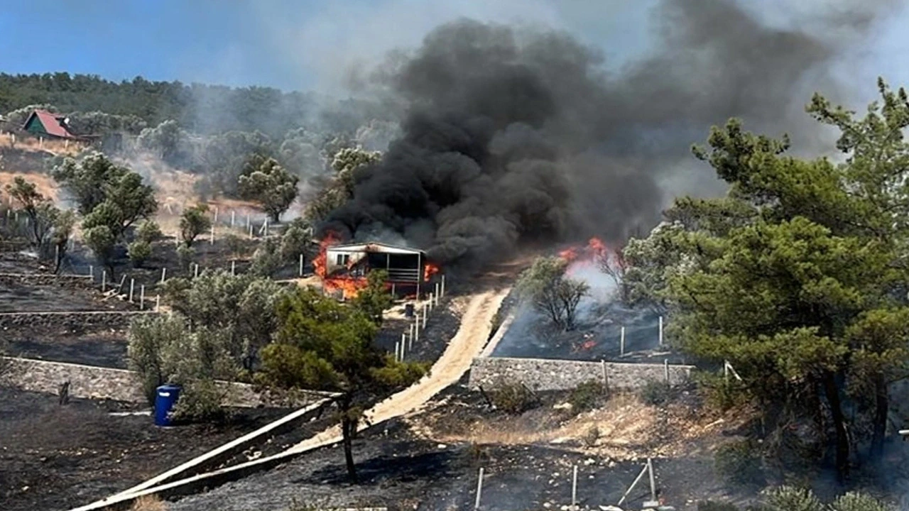 İzmir'de yangın: Alevler ormana sıçradı