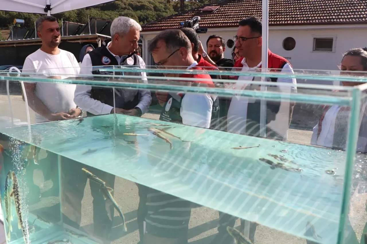 Kilosu bin euro! Bolu'da üretilip dünya pazarına sunulacak