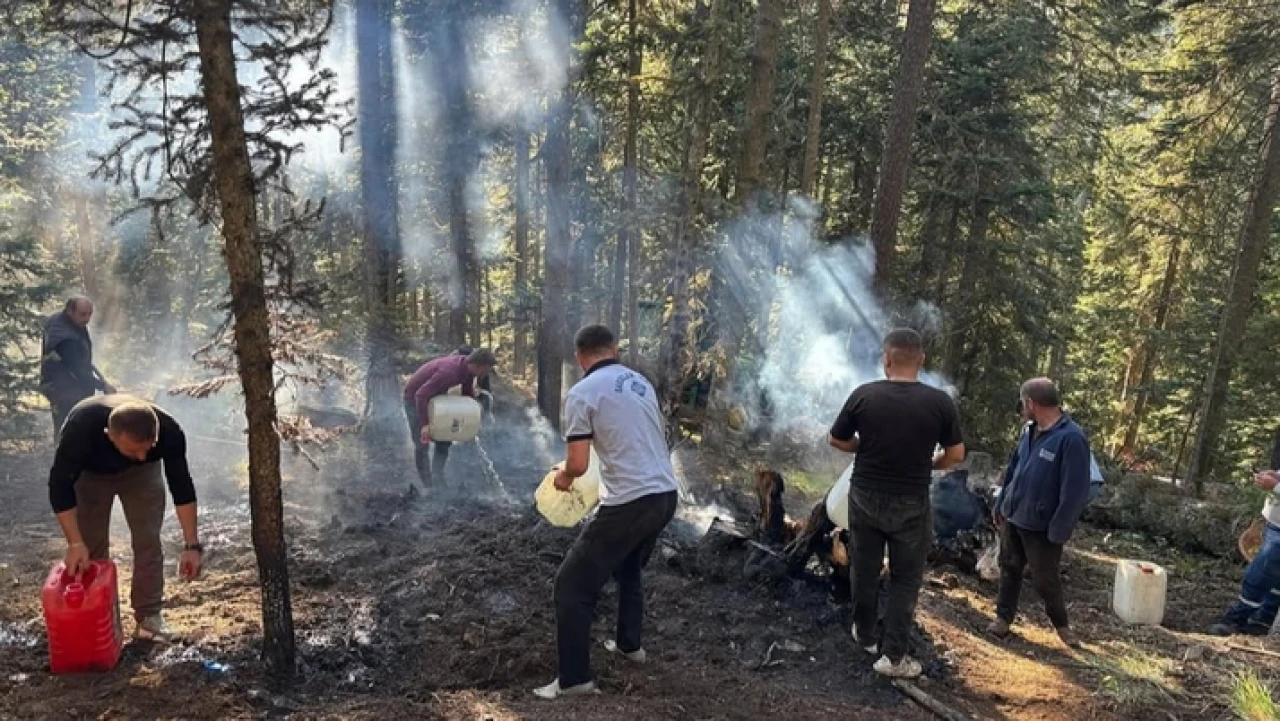 Orman yangınlarıyla mücadele eden gönüllülerin hakları yeniden düzenlendi