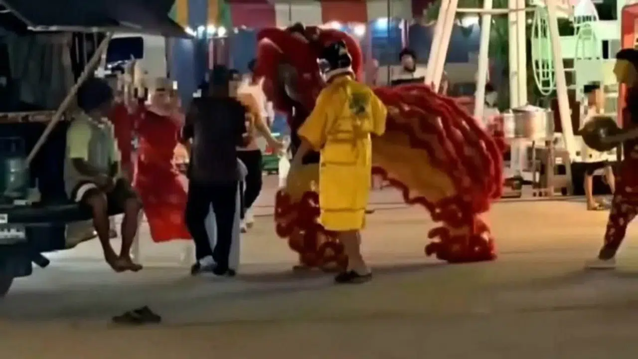 Film gibi operasyon: Polis, hırsızı yakalamak için aslan dansı kostümü giydi