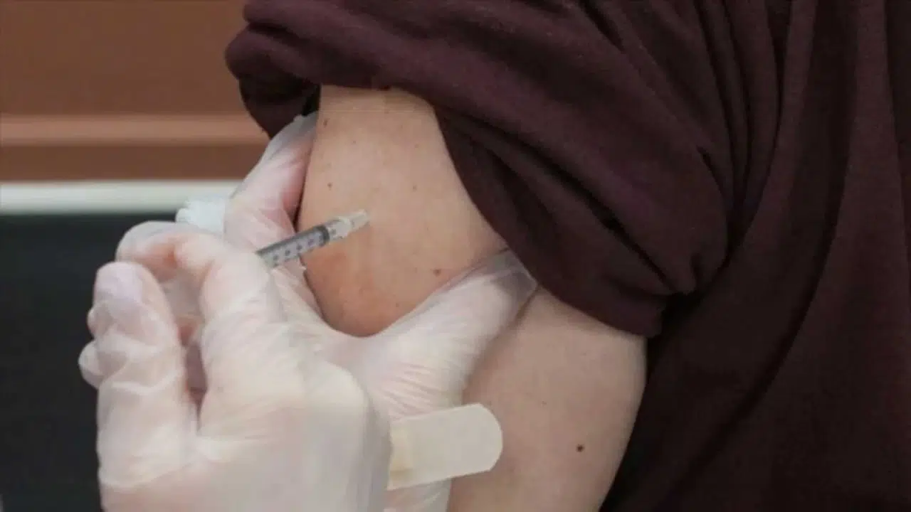 İstanbul’da kuduz alarmı: 2025’te çok sayıda kişi riskli temastan hastanelere başvurdu