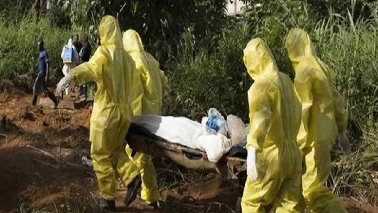 Nijerya'da panik! Lassa ateşi hastalığı can almaya devam ediyor