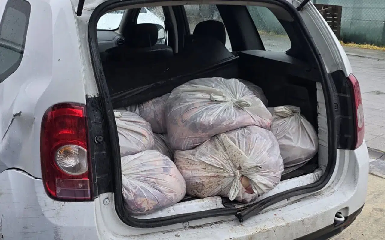 İstanbul’da sağlıksız gıda operasyonu: Tonlarca ürün ele geçirildi