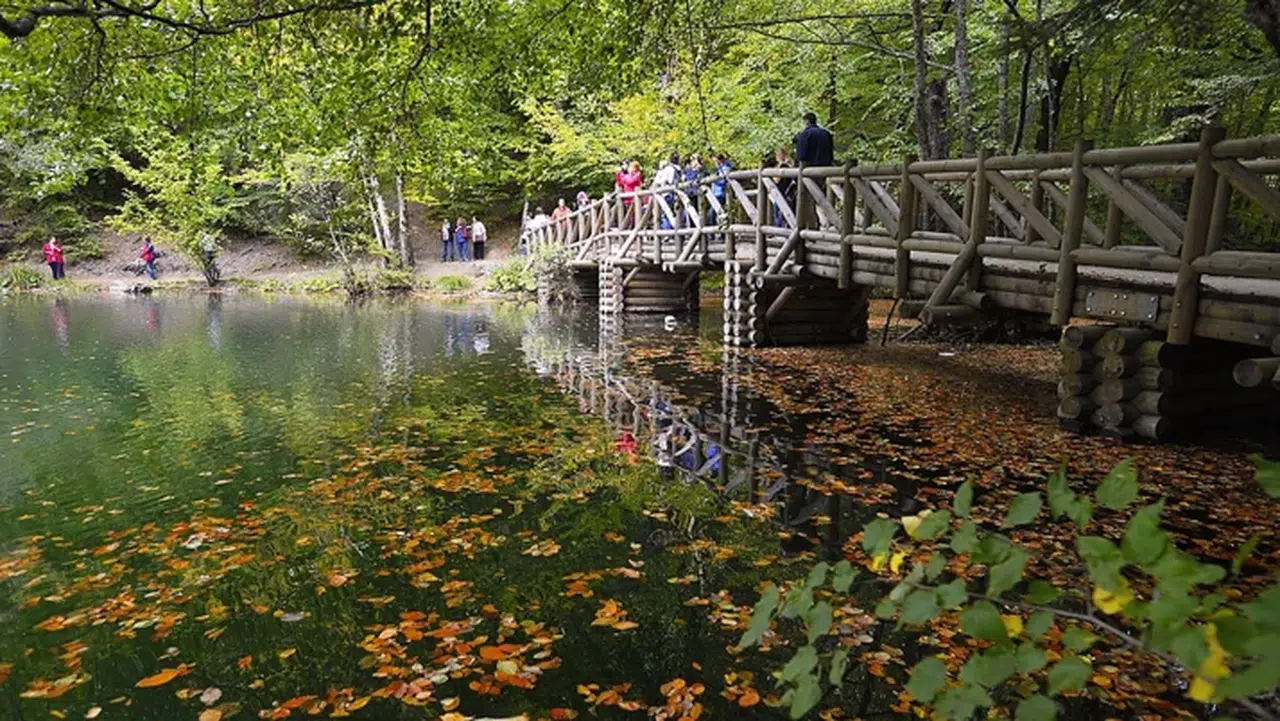 Milli parklarda yeni dönem başlıyor! Teklif yasalaştı