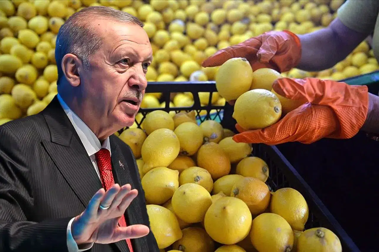 Limon fiyatlarında yeni hamle Erdoğan talimatı verdi