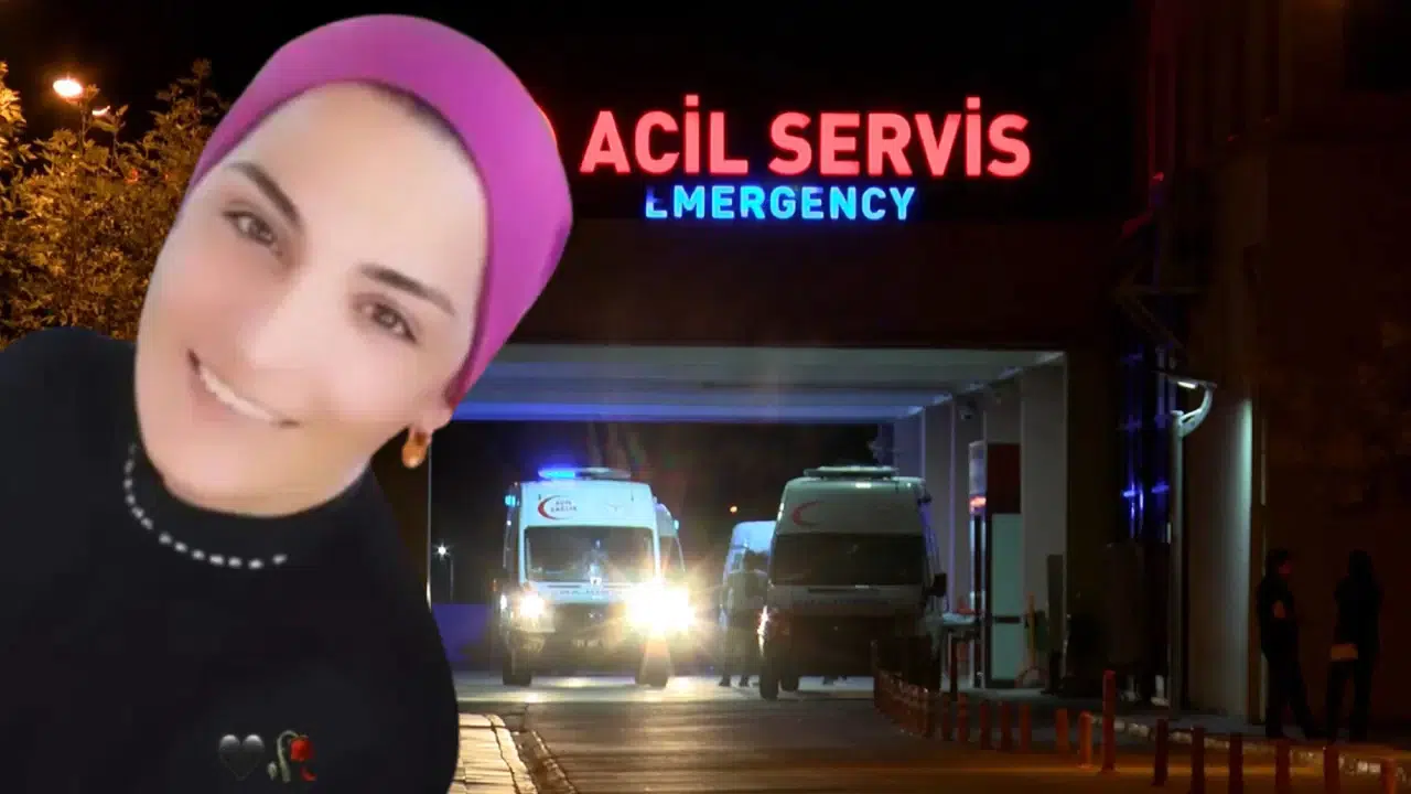 Dilan Aslan dosyasında kan donduran ifadeler