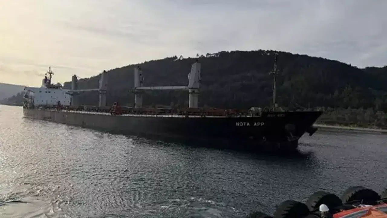 Çanakkale Boğazı’nda arızalanan yük gemisi sürüklenerek karaya oturdu