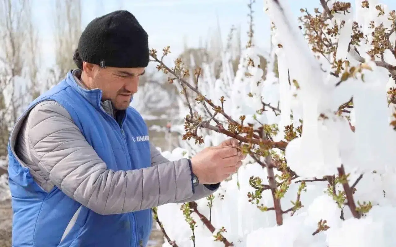 Türkiye’ye sürpriz soğuk hava dalgası kar ve don riski geliyor