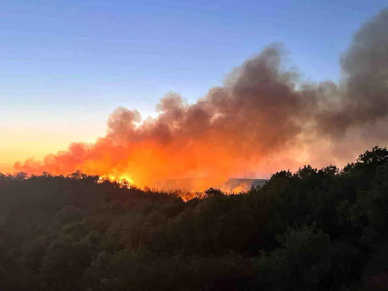 Beykoz’da orman yangını: 3 hektar zarar gördü