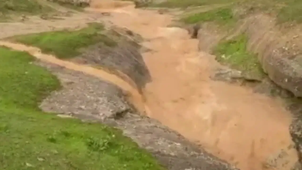 Siirt'te dolu yağışı tarım alanlarına zarar verdi
