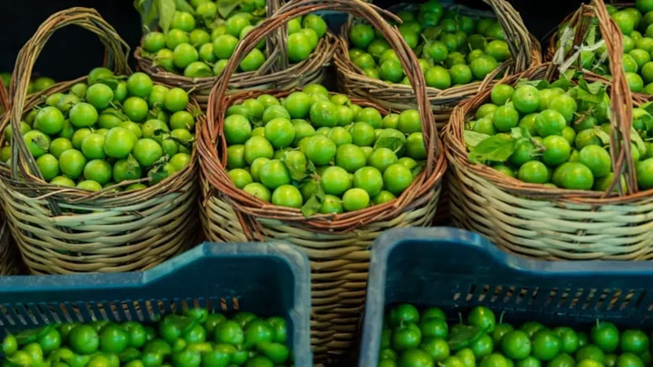 Yeşil eriğin tane fiyatı 'yok artık' dedirtti