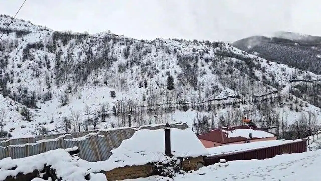 Erzincan’da don riski: Kar yağışı bağları ve ağaçları etkiledi