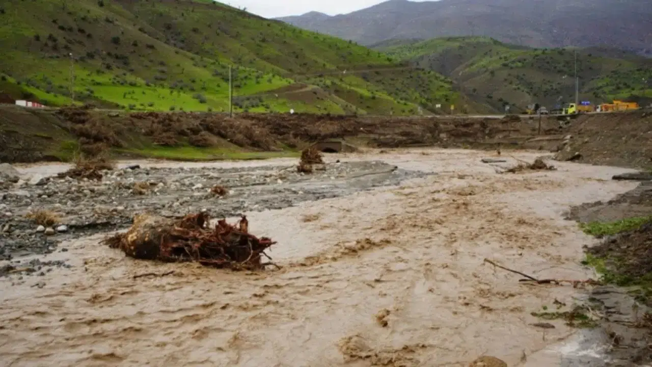 Sağanak yağış sele dönüştü: Siirt'te 35 küçükbaş telef oldu