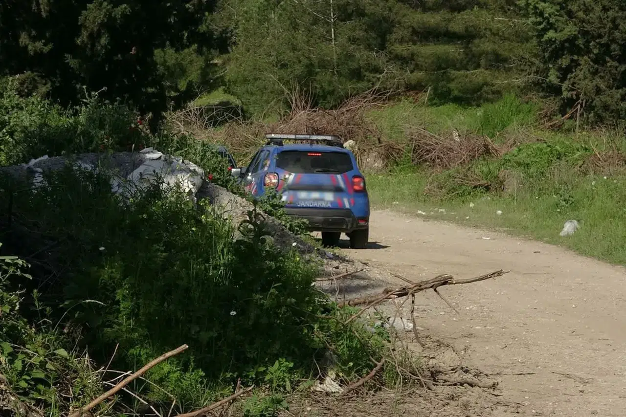 Adana'da ormanda parçalanmış erkek cesedi bulundu