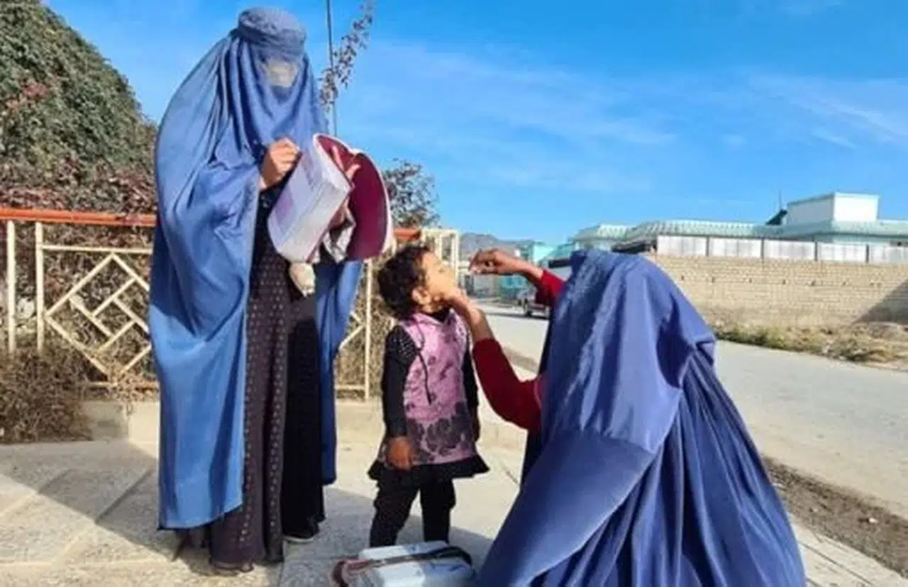 BM açıkladı: Afganistan'da kadın işgücü krizi büyüyor