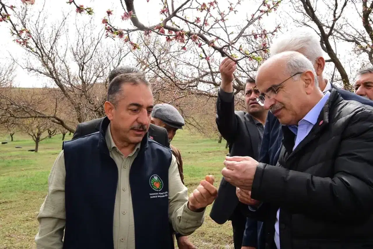 Malatya’da dolu felaketi: 7 ilçede 52 mahalle hasar gördü