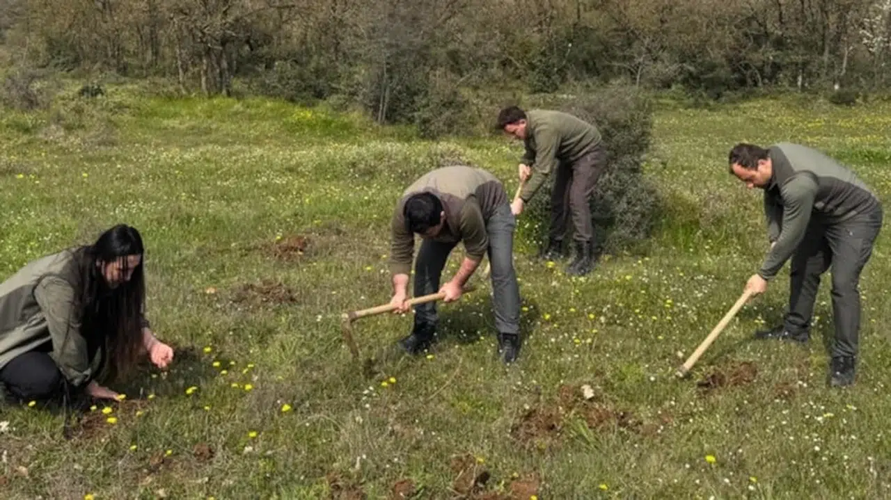 Bir torba topladılar, 699 bin TL ceza yediler