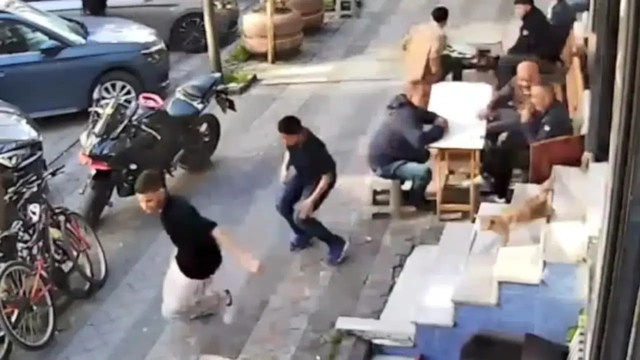 Çılgın kedi kuaförü birbirine kattı! Müşteriler merdivenden atlayarak kaçtı