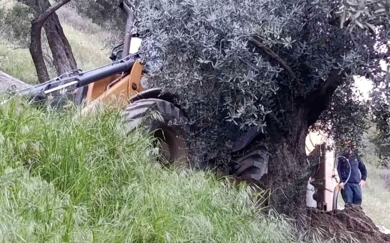 Aydın'da kaçak kazı faciası: Göçük altında kalan kişi hayatını kaybetti