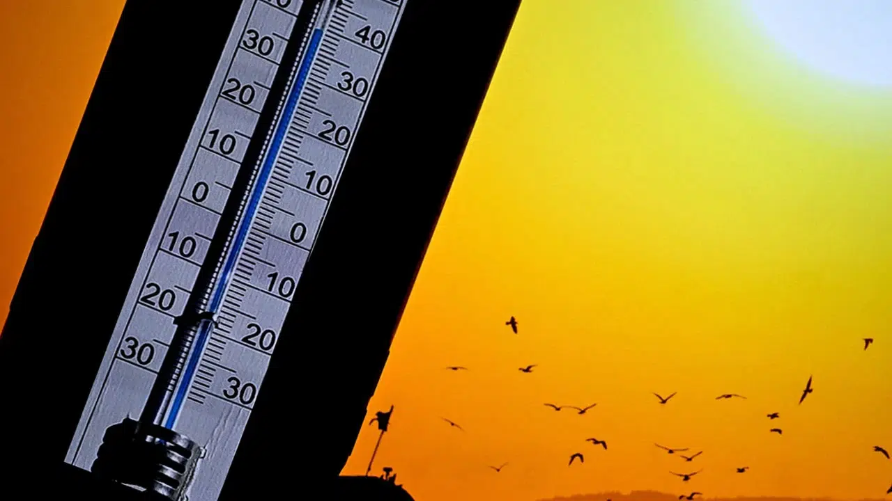 Türkiye’nin en sıcak ilçesinde termometreler 46 dereceyi gördü