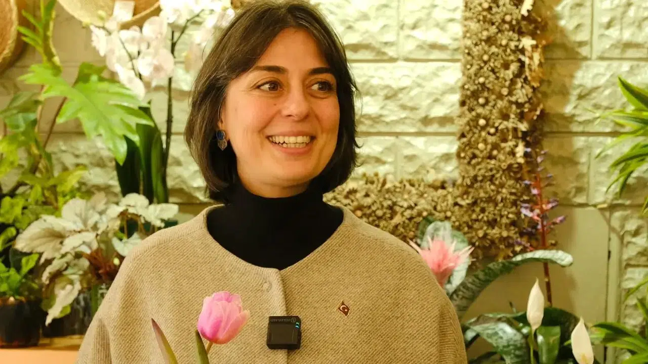 Sinem Dedetaş kimdir, aslen nereli?