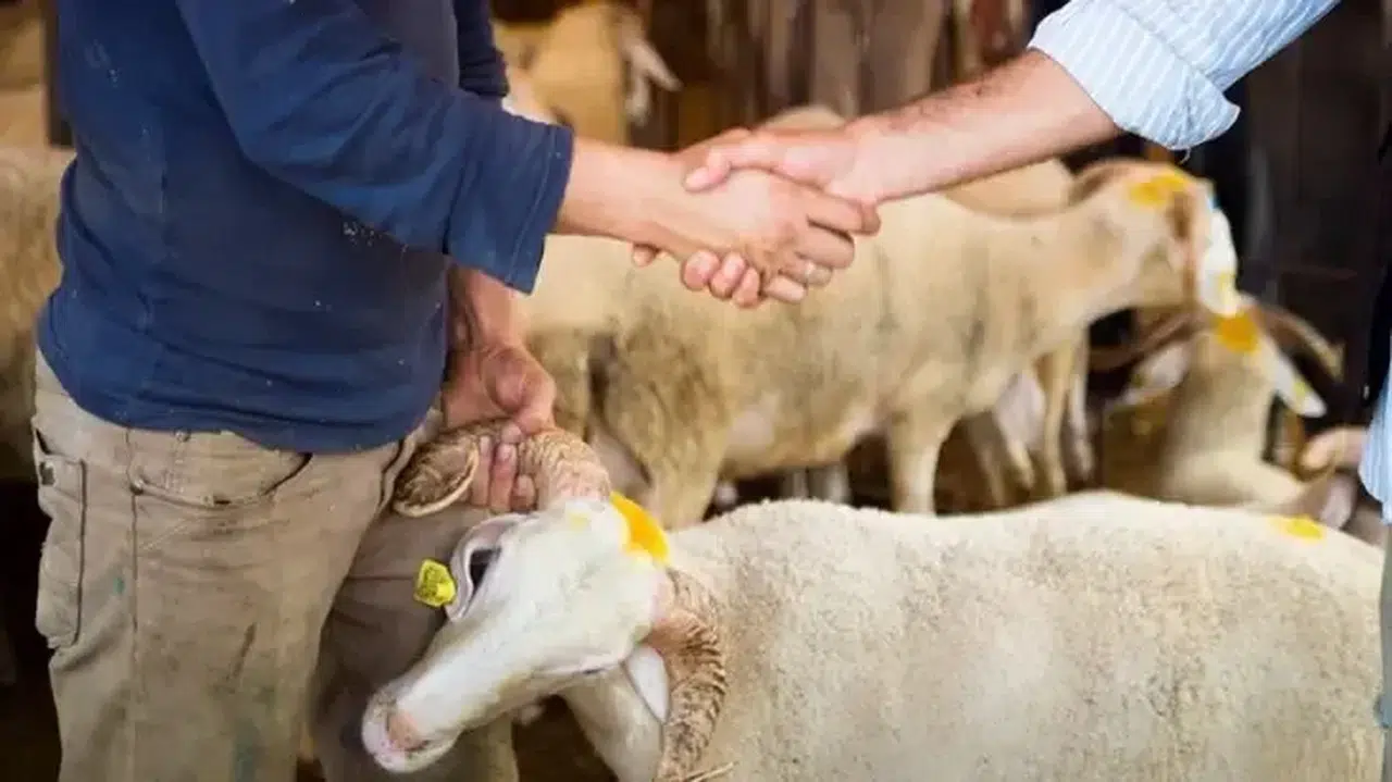 Kurban Bayramı tatili kaç gün? Memur ve özel sektör
