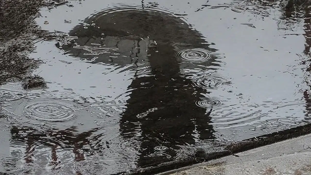 Türkiye’de yağışlar son 38 yılın en yüksek seviyesine çıktı