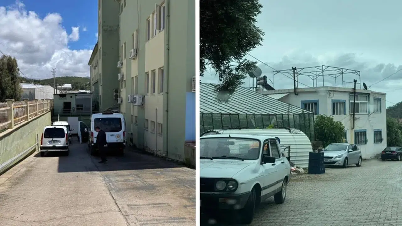 Mersin’de fenalaşan kardeşlerden acı haber: 2 kardeş yaşamını yitirdi